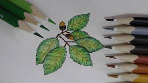 See more ideas about secret garden coloring book, secret garden, secret garden colouring. Colouring Book Reviews Rachel Henderson Colouring