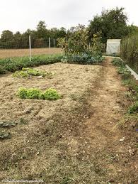 Bei sehr kleinen geräteschuppen kann es manchmal genügen, den boden zu ebnen und zu verdichten, doch allerdings macht ein streifenfundament mehr arbeit. 81 Garten Selber Machen Wright Landscaping