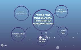 Laman web video kurikulum : Kaedah Pengawetan Makanan