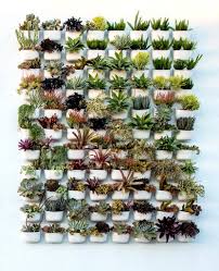 Adds freshness and modernity to each room. Living Wall Succulent Wall Garden Indoor Plant Wall Succulent Wall