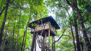 Seguite questa breve guida e saprete come costruire una casa su un albero in modo semplice e sicuro. Casa Sull Albero Materiali Consigli Pratici E Come Costruirla