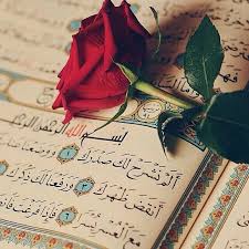 وأنت تتصفح جهازك حر ك لسانك بالاستغفار فطوبى لمن وجد في صحيفته استغفارا كثيرا يااا رب اغفر لنا وارحم ضعفنا وتجاوز عنا يا رب يا رب Quran Quran Book Islam