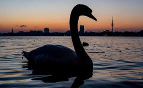 It was originally based in boise, idaho having been founded in october. Schwane Saarlander Erfolgreich Integriert Fink Hamburg