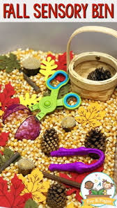 This sensory activity from the hands on as we grow blog couldn't be easier—you likely have everything you need already in your pantry! Easy Fall Sensory Bin For Preschoolers And Toddlers