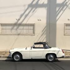 Image result for Old English White 1961 MG