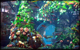 For your search query giant aquarium at vancouver yvr airport mp3 we have found 1000000 songs matching your query but showing only top 10 results. Vancouver Airport