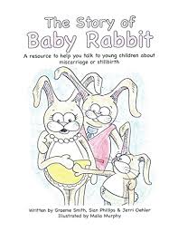 The Story of Baby Rabbit: A Resource to Help You Talk to Young Children  About Miscarriage or Stillbirth