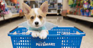 Find an animal shelter or rescue group. Does Petsmart Sell Dogs Dog Adoption Options Online 2020