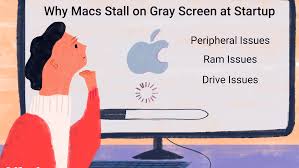 Use an ultra violet (uv) sanitizer How To Fix A Mac That Stalls On A Gray Screen At Startup