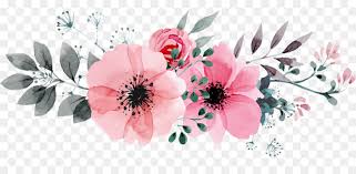 Doppia cornice rosa su sfondo di fiori di sakura. Disegni Fiori Png Coloring And Drawing