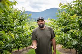 Temperatures are expected to rise to more than 40. Oliver Bc Weather