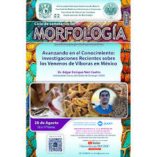 Squenda Soluciones Empresariales