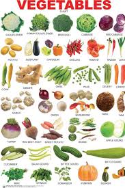 23 Things You Probably Didn T Know About The Plant Kingdom Learn English English Vocabulary English Vocab