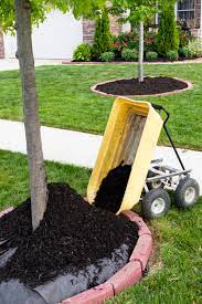 Southeasttree provides top quality and professional tree services to clients in the marietta and atlanta areas. Mulch Is Key To A Healthy Austin Tree Austintexas Gov