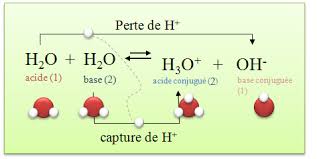Lachimie Net Autoprotolyse De L Eau Et Le Ph