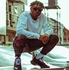 Alan junior net worth is $16 million. Zlatan Ibile Biography Net Worth And More Nigerian Guide