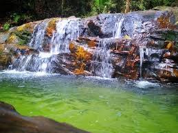 Bizz hotel, puchong'da yer almaktadır. Waterfall Bukti Wawasan Puchong Photo De Ayer Hitam Forest Reserve Puchong Tripadvisor