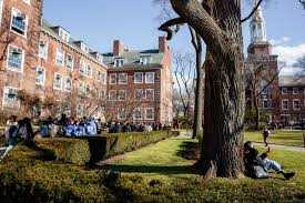 What is the best college in brooklyn? Creating Connections The New York Times
