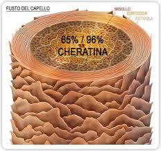 In pochi secondi migliaia di microfibre di cheratina si legano ai capelli per un . La Cheratina Curiosita E Ricette Per La Cura Dei Capelli Passione Henne Tingere E Curare I Capelli In Modo Naturale