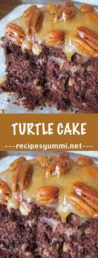 Pin By The Cafe Sucre Farine On Favorite Recipes Chocolate Turtle Cake Recipe Chocolate Turtle Cakes Cake Recipes