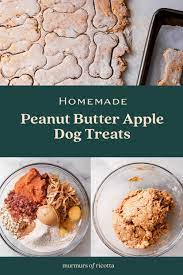 Peanut Butter Apple Dog Treats Murmurs Of Ricotta Recipe In 2021 Dog Biscuit Recipes Homemade Peanut Butter Homemade Dog Food