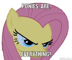 Image result for PONIES meme