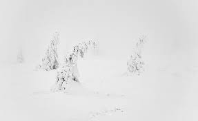 City aesthetic background individual picture digital download. Hd Wallpaper Winter White Snow Aesthetic Black And White Seasons Nature Wallpaper Flare