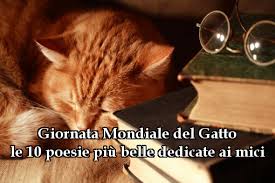 Una giornata dedicata ad uno degli animali da compagnia più diffusi in tutto il mondo. Giornata Mondiale Del Gatto Ecco Le 10 Poesie Piu Belle Dedicate Ai Mici