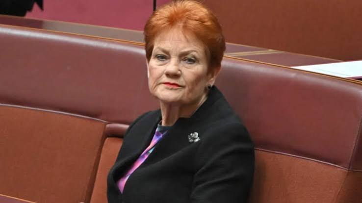 Terrible advice': Advocates call out Hanson's domestic violence 'two-way street' comments | SBS News