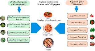 Image result for Zanthoxylum usambarense