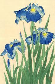 Japanese Art Flowers Floral Plants Botanical Art Prints Posters Japanese Irises Fine Art Print Japan Flowers Woodblock Prints Paintings Japanese Woodblock Printing Botanical Art Prints Botanical Art