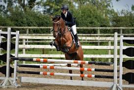 Northern Lights, building bridges