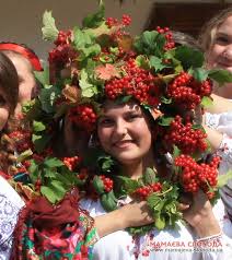 Її значна поширеність на теренах україни. Den Kalini V Mamayevij Slobodi Mamayeva Sloboda