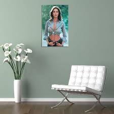 Lynda Carter Sexy Actress Poster (6) Painting On Canvas Wall Art Poster  Scroll Picture Print Living Room Walls Decor Home Posters  16x24inch(40x60cm) : ...