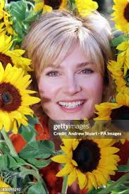 422 Stuart Powell Stock Photos, High-Res Pictures, and Images