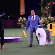 2021 westminster dog show dates. Homepage