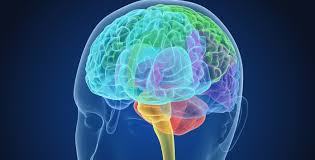 Hirntumor Was Patienten Aus Dem Raum Koln Wissen Sollten