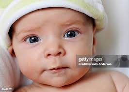 139 Brandy Boy Stock Photos, High-Res Pictures, and Images