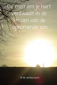 Pin Van Cor Van Der Tor Op Rouw Rouw Mist Citaten