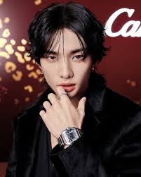 hyunjin for cartier #hwanghyunjin #straykids