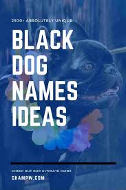 Pin by brayden levy on fortnite with im. 2500 Absolutely Unique Black Dog Names Ideas In 2021