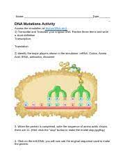 Dna Mutation Dna Mutation Simulation Access The Simulation At Https Www Biologycorner Com Worksheets Dna Sim Html 1 Transcribe And Translate Your Course Hero