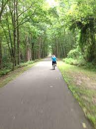 Photos Of Jacksonville Baldwin Rail Trail Closed Florida Alltrails Jacksonville Florida Trail