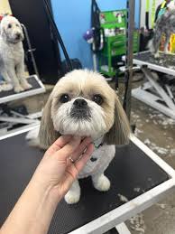 We tried Taco Choza tonight for the first time! So many wonderful people  and amazing tacos! I had the pescado and the crazy cheese taco with steak.  We rounded things out with