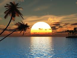 Welcome back to that summertime vibe, all the time from your very own home. Tropical Sunset Stock Photos And Images 123rf