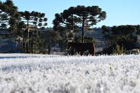 Na serra, as temperaturas novamente ficam abaixo de 0°c, e em porto alegre a mínima é de 4°c e a máxima prevista é de somente 15°c no início da semana. Inmet Divulga Alerta Para Perigo Potencial De Geada Em 22 Cidades Do Sul De Minas Sul De Minas G1