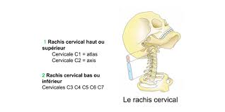 We did not find results for: Quelle Minerve Choisir Collier Cervical C1 C2 Ou C3