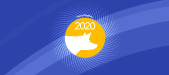 Pig S 2020 Chinese Horoscope