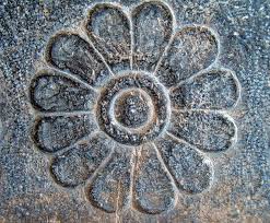 Lotus Achaemenid Architecture Persepolis Wikipedia Achaemenid Architecture Achaemenid Persian Culture
