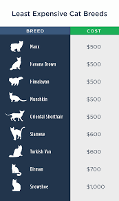 Join our treats™ loyalty program to earn points and receive exclusive discounts. Pet Ownership Costs Guide For 2021 The Simple Dollar